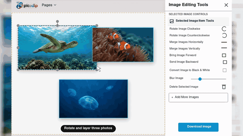 Piceclip underwater poster workflow showing multiple images being edited separately